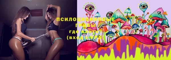 шишки Абинск