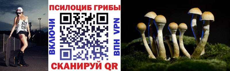 Галлюциногенные грибы GOLDEN TEACHER  где купить наркоту  Дятьково 