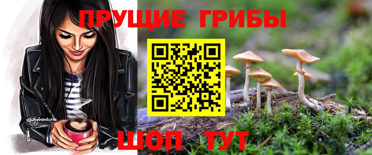 Галлюциногенные грибы GOLDEN TEACHER Дятьково