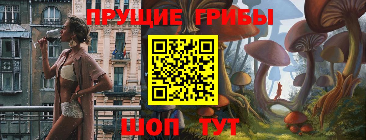 Галлюциногенные грибы Cubensis  Вход с VPN  Дятьково 