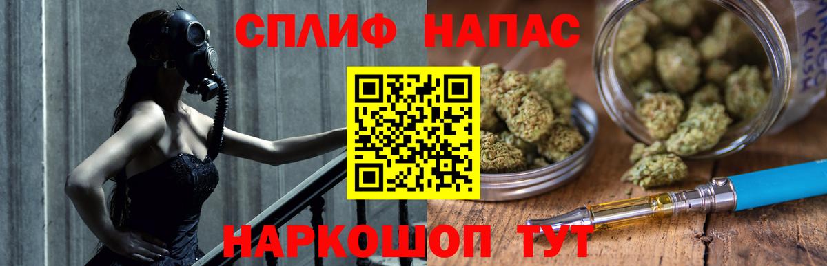 Каннабис индика  Марихуана планчик  Вход с VPN  Шишки марихуана марихуана  Дятьково 